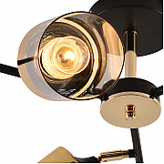 Потолочная люстра 01555-3.3-06B BK+FGD