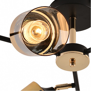 Потолочная люстра 01555-3.3-06B BK+FGD