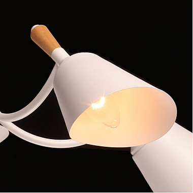 Потолочная люстра Дэла 635014805