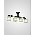 Потолочная люстра 000061926