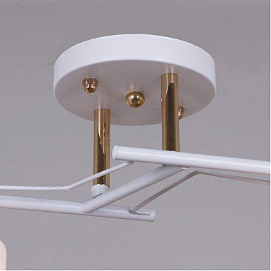 Потолочная люстра 06096-0.3-02 WH+FG