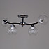 Потолочная люстра 07624-0.3-04 CR+BK