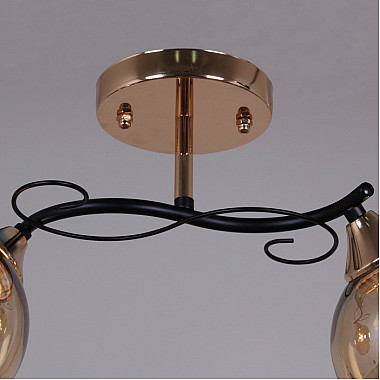 Потолочная люстра 06073-0.3-02 FG+BK