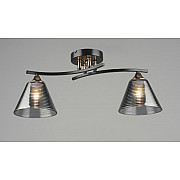 Потолочная люстра SL1N 000065848