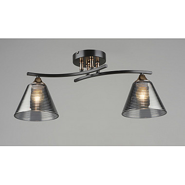 Потолочная люстра SL1N 000065848