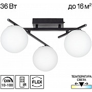 Потолочная люстра Dorsy CL223132