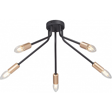 Потолочная люстра V3020-1/5PL