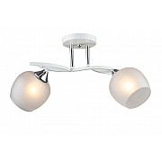 Потолочная люстра SL1N 000066058