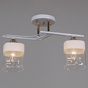 Потолочная люстра 06096-0.3-02 WH+FG