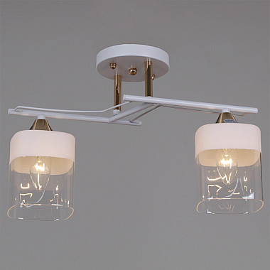 Потолочная люстра 06096-0.3-02 WH+FG