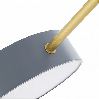 Потолочная люстра Ferrara 252006/5 Bk/Gr