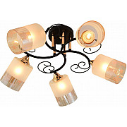 Потолочная люстра 01315-0.3-05 BK+FGD