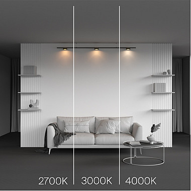 Трековый светильник Zon TR189-1-12W4K-BBS