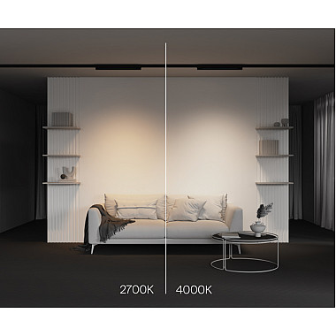 Трековый светильник Basis TR196-3-20W2.7K-B