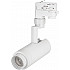 Трековый светильник ZEUS 024602(1)