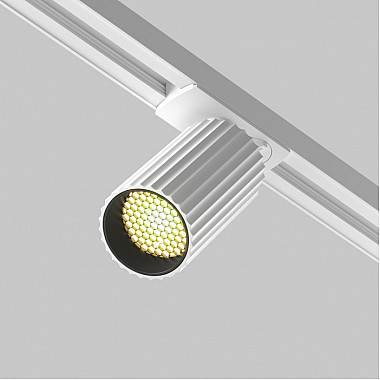 Трековый светильник Calipso TR218-1-GU10-W