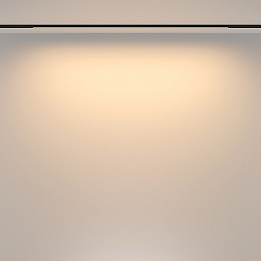 Трековый светильник Basis TR173-1-24WTW-B