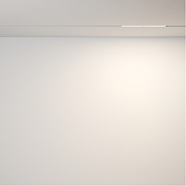 Трековый светильник Parete TR106-2-12W3K-W