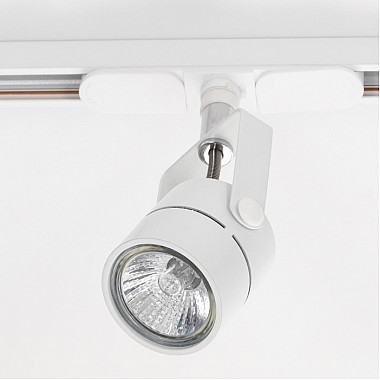 Трековый светильник Ринг CL525T10