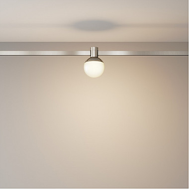 Трековый светильник Luna TR149-1-5W3K-PT