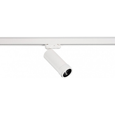 Трековый светильник Rollo Zoom DL18895R15W1WZ Track