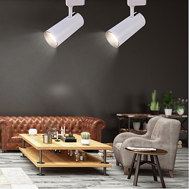 Трековый светильник TR5-30 COB WH