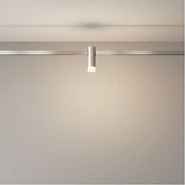 Трековый светильник Skim TR145-1-3W3K-W-PT