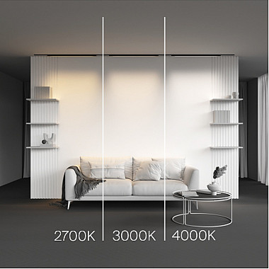 Трековый светильник Basis TR192-1-21W3K-B