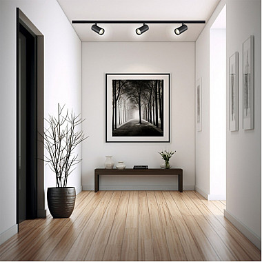 Трековый светильник 20002 20002TRA/01LED SBK