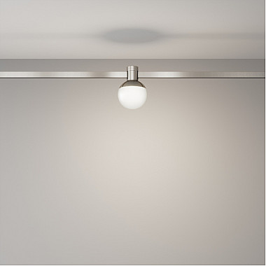 Трековый светильник Luna TR149-1-5W4K-PT