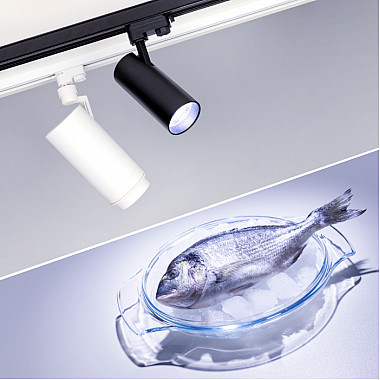 Трековый светильник GERA FOOD 032472