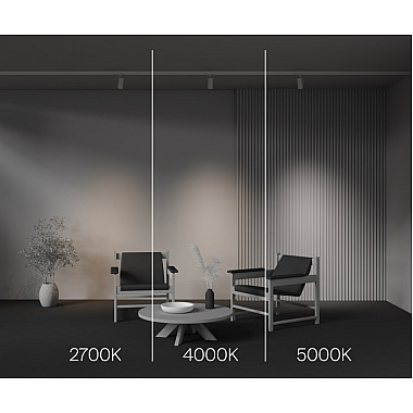 Трековый светильник Focus Led TR197-3-12WCCT-M-W