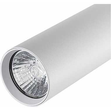 Трековый светильник 20001 20001TRA/02 SWH