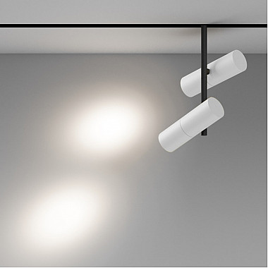 Трековый светильник Elti Duo TR005-4-2X12W-DS-BW