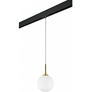 Трековый светильник Globo PRO813032