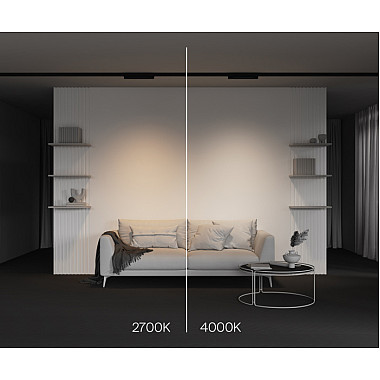 Трековый светильник Basis TR196-3-10W4K-B