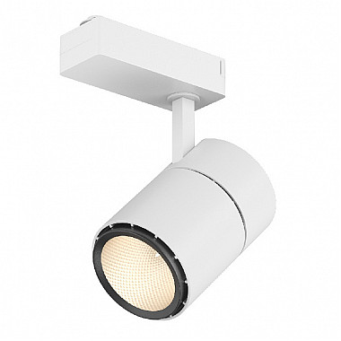 Трековый светильник TL58-BW-20-WW