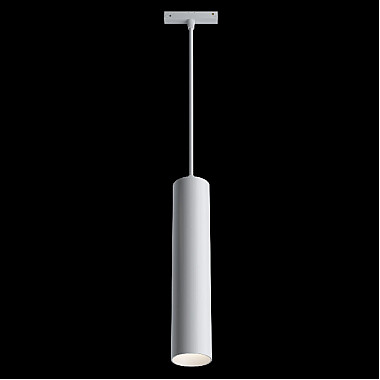 Трековый светильник Track lamps TR016-2-12W3K-W