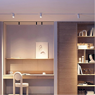 Трековый светильник MAG-25 053796