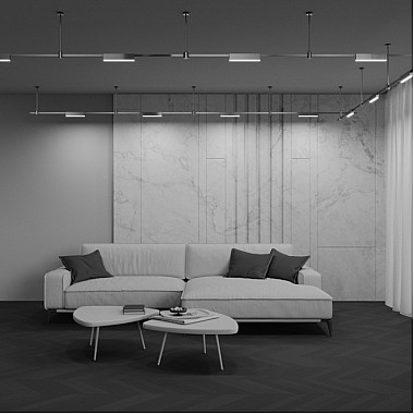 Трековый светильник Basis TR151-1-12W3K-PT