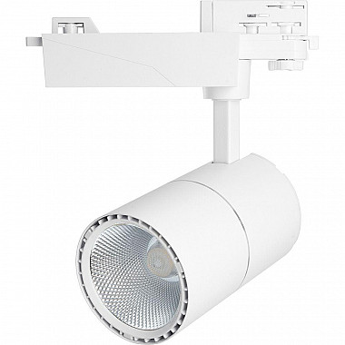 Трековый светодиодный светильник Feron AL103 41599