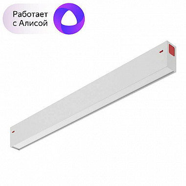 Трековый светодиодный светильник Denkirs DK8004-WH