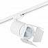 Трековый светодиодный светильник Lightstar Canno Led (303264+202996) C326496