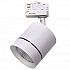 Трековый светодиодный светильник Lightstar Canno Led 301562