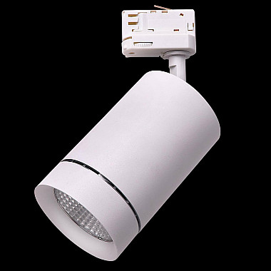 Трековый светодиодный светильник Lightstar Canno Led 303562
