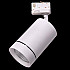 Трековый светодиодный светильник Lightstar Canno Led 303562