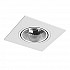 Встраиваемый светильник Denkirs DK3071-WH+CH