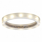 Точечный светильник Star Line Ring 98863