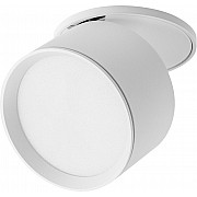 Точечный светильник Acuto 215806