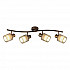 Спот Toplight Laurine TL1252Y-04BC